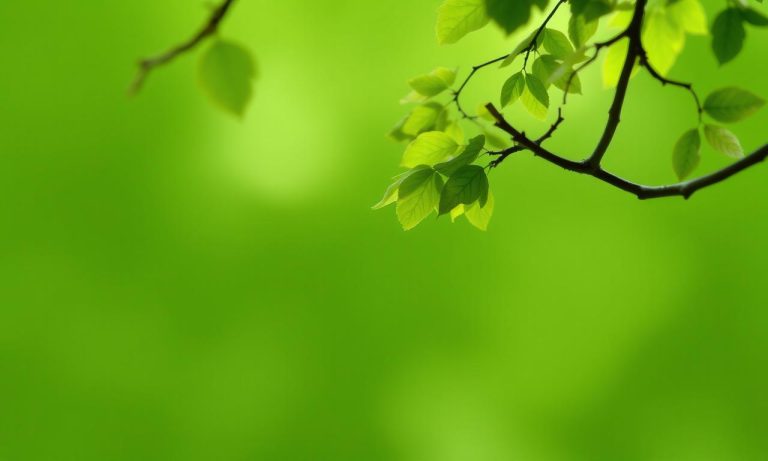 如何玩百家樂才能實發？